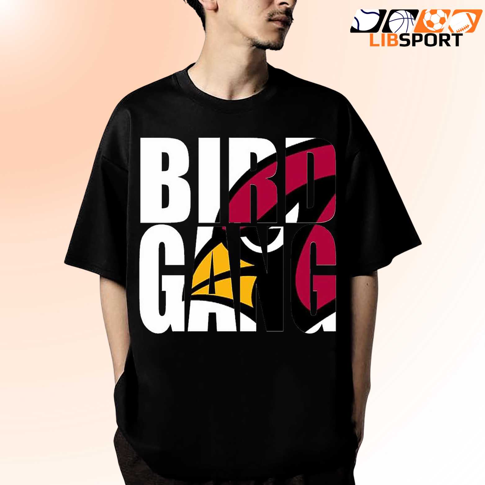 Birdgang Arizona Cardinals Tee, Unisex T Shirt, Game Day Shirt